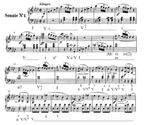 Beethoven - Piano Sonata Op. 2 No. 1 First Movement Harmonic Analysis